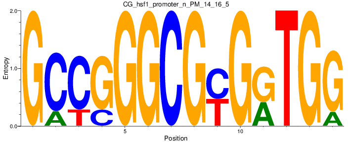 CG_hsf1_promoter_n_PM_14_16_5