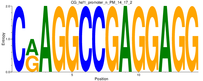 CG_hsf1_promoter_n_PM_14_17_2