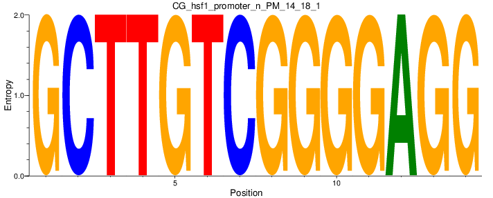 CG_hsf1_promoter_n_PM_14_18_1