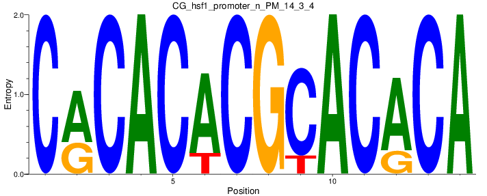 CG_hsf1_promoter_n_PM_14_3_4