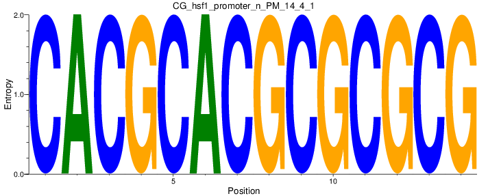 CG_hsf1_promoter_n_PM_14_4_1