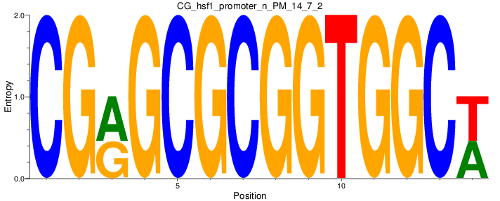 CG_hsf1_promoter_n_PM_14_7_2