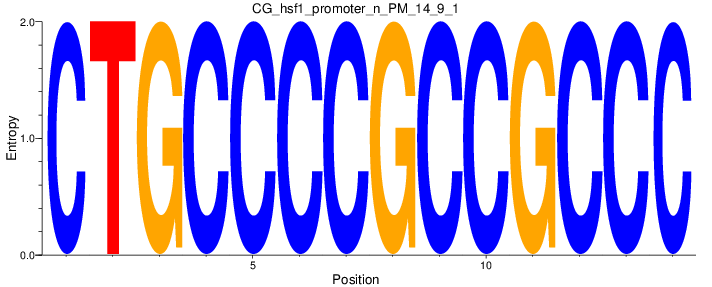 CG_hsf1_promoter_n_PM_14_9_1