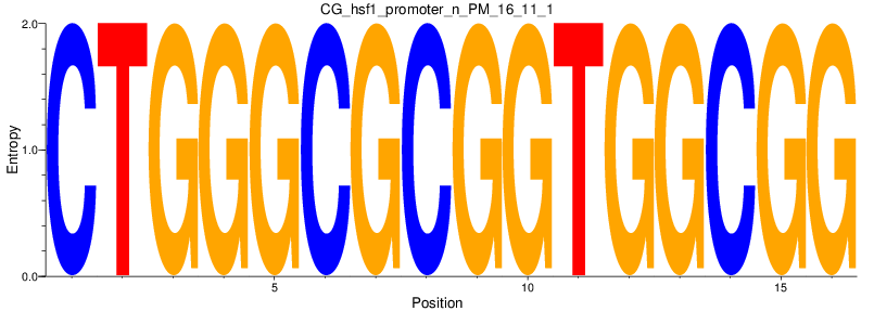 CG_hsf1_promoter_n_PM_16_11_1