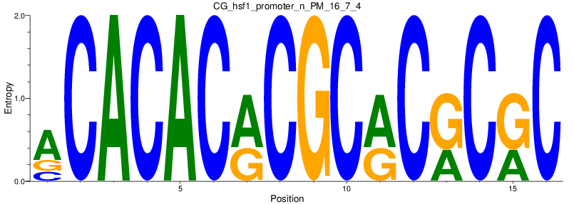 CG_hsf1_promoter_n_PM_16_7_4