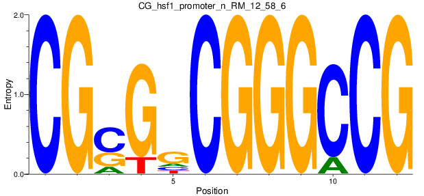 CG_hsf1_promoter_n_RM_12_58_6