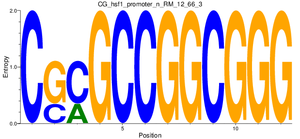 CG_hsf1_promoter_n_RM_12_66_3