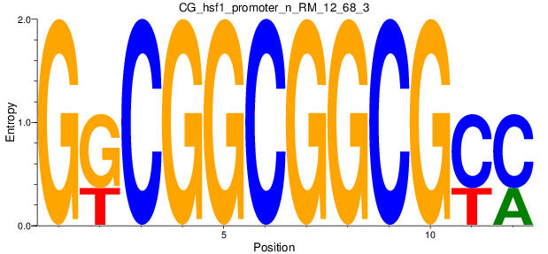 CG_hsf1_promoter_n_RM_12_68_3