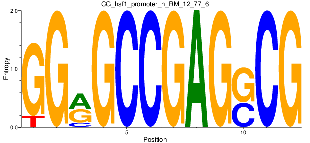 CG_hsf1_promoter_n_RM_12_77_6