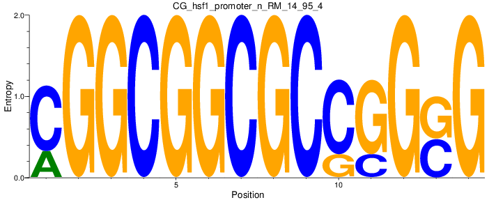 CG_hsf1_promoter_n_RM_14_95_4