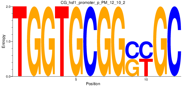 CG_hsf1_promoter_p_PM_12_10_2