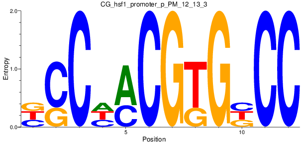 CG_hsf1_promoter_p_PM_12_13_3