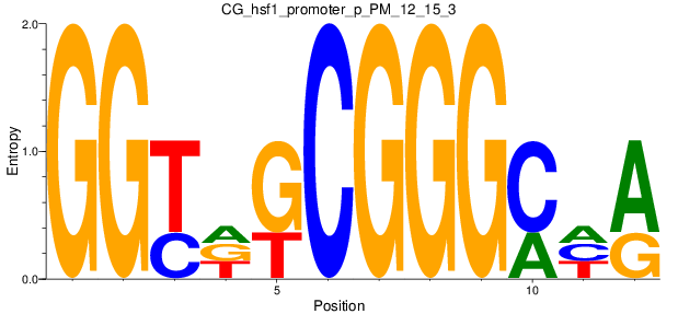CG_hsf1_promoter_p_PM_12_15_3