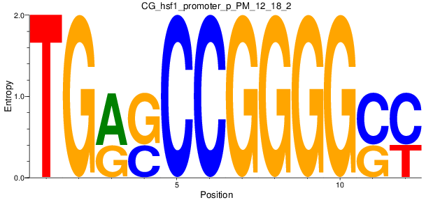 CG_hsf1_promoter_p_PM_12_18_2