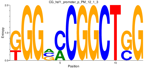 CG_hsf1_promoter_p_PM_12_1_3