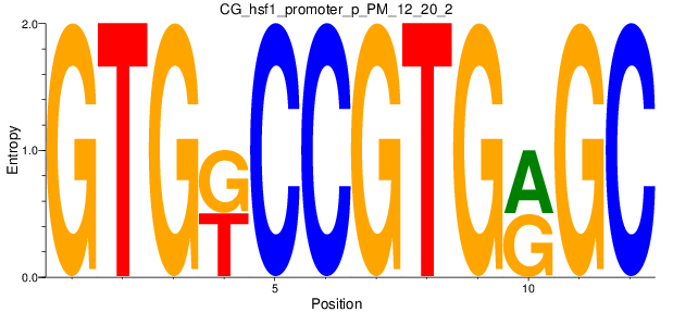 CG_hsf1_promoter_p_PM_12_20_2