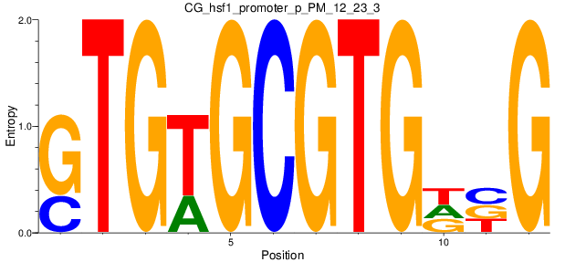 CG_hsf1_promoter_p_PM_12_23_3