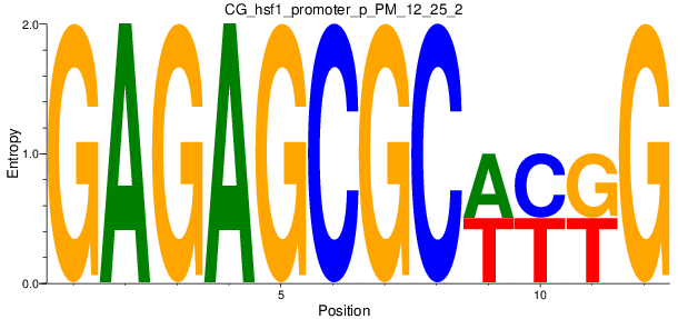 CG_hsf1_promoter_p_PM_12_25_2