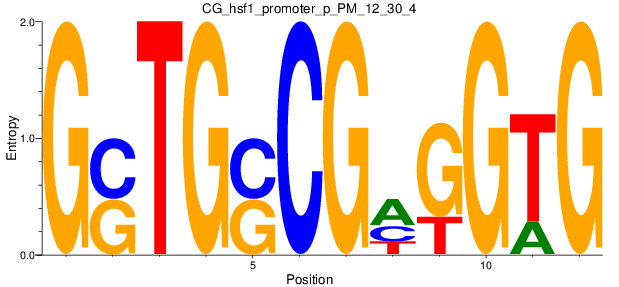 CG_hsf1_promoter_p_PM_12_30_4