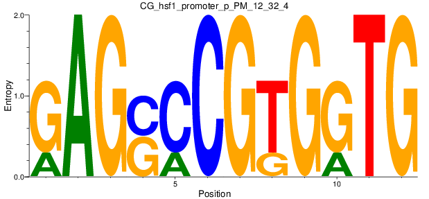 CG_hsf1_promoter_p_PM_12_32_4