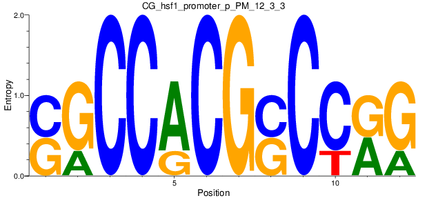 CG_hsf1_promoter_p_PM_12_3_3