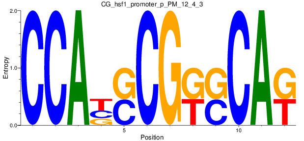 CG_hsf1_promoter_p_PM_12_4_3