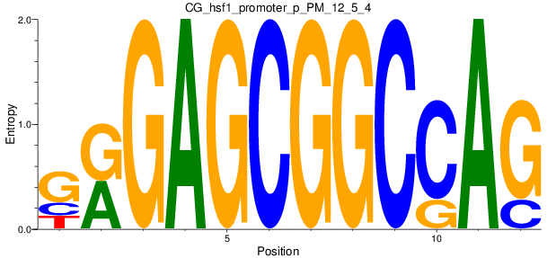 CG_hsf1_promoter_p_PM_12_5_4
