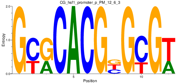 CG_hsf1_promoter_p_PM_12_6_3