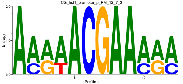 CG_hsf1_promoter_p_PM_12_7_3