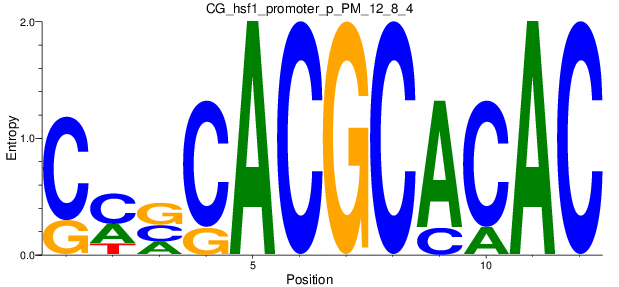 CG_hsf1_promoter_p_PM_12_8_4