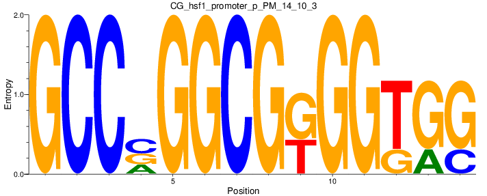 CG_hsf1_promoter_p_PM_14_10_3