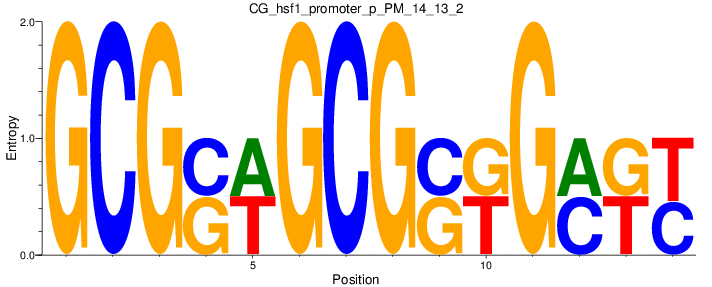 CG_hsf1_promoter_p_PM_14_13_2