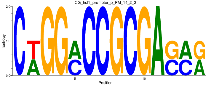 CG_hsf1_promoter_p_PM_14_2_2