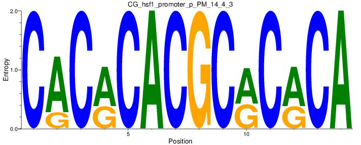 CG_hsf1_promoter_p_PM_14_4_3