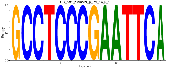CG_hsf1_promoter_p_PM_14_6_1