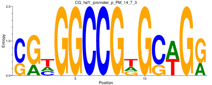 CG_hsf1_promoter_p_PM_14_7_3
