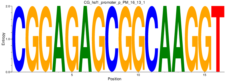 CG_hsf1_promoter_p_PM_16_13_1