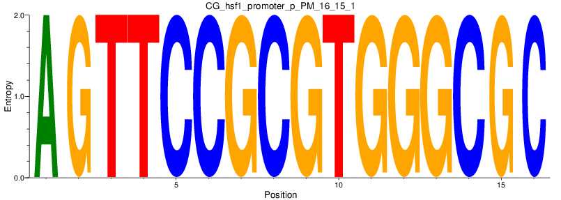 CG_hsf1_promoter_p_PM_16_15_1