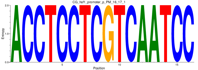 CG_hsf1_promoter_p_PM_16_17_1