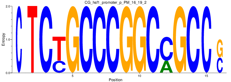 CG_hsf1_promoter_p_PM_16_19_2