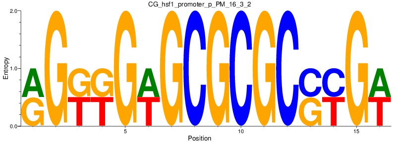 CG_hsf1_promoter_p_PM_16_3_2