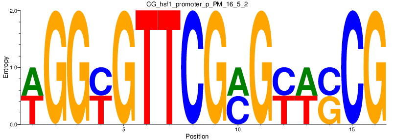 CG_hsf1_promoter_p_PM_16_5_2