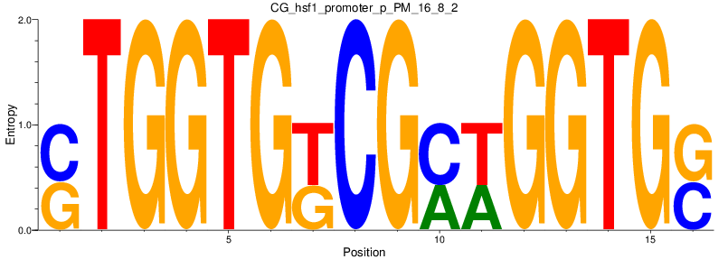 CG_hsf1_promoter_p_PM_16_8_2