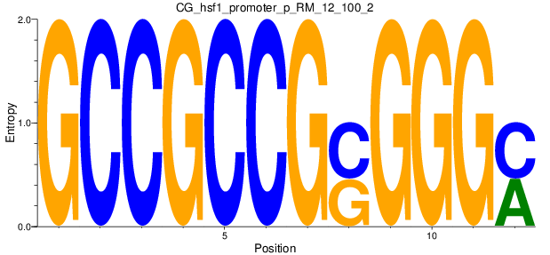 CG_hsf1_promoter_p_RM_12_100_2