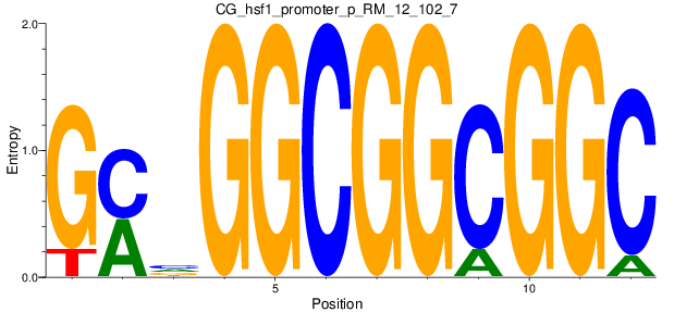 CG_hsf1_promoter_p_RM_12_102_7
