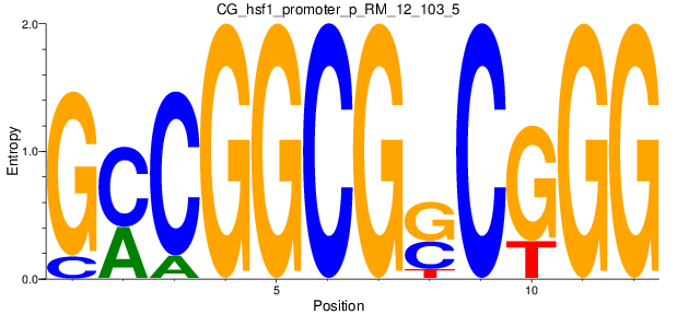 CG_hsf1_promoter_p_RM_12_103_5