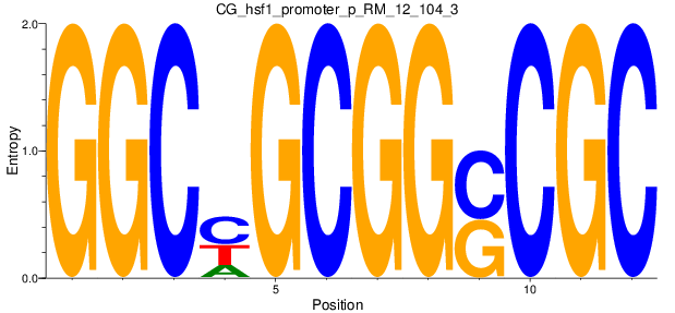 CG_hsf1_promoter_p_RM_12_104_3