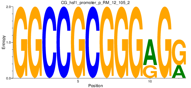 CG_hsf1_promoter_p_RM_12_105_2