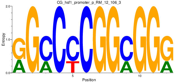 CG_hsf1_promoter_p_RM_12_106_3