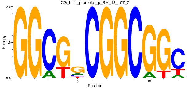 CG_hsf1_promoter_p_RM_12_107_7